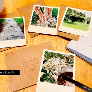 Fotografie Ein Tag im Park Baum Blumen Natur Grußkarten GeschenkFotos des schönen Alltags