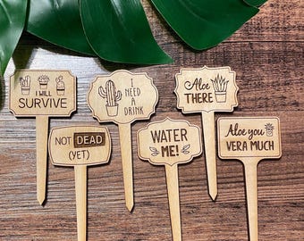 Enjeux de plantes amusants – dictons humoristiques sur les plantes, décoration sarcastique