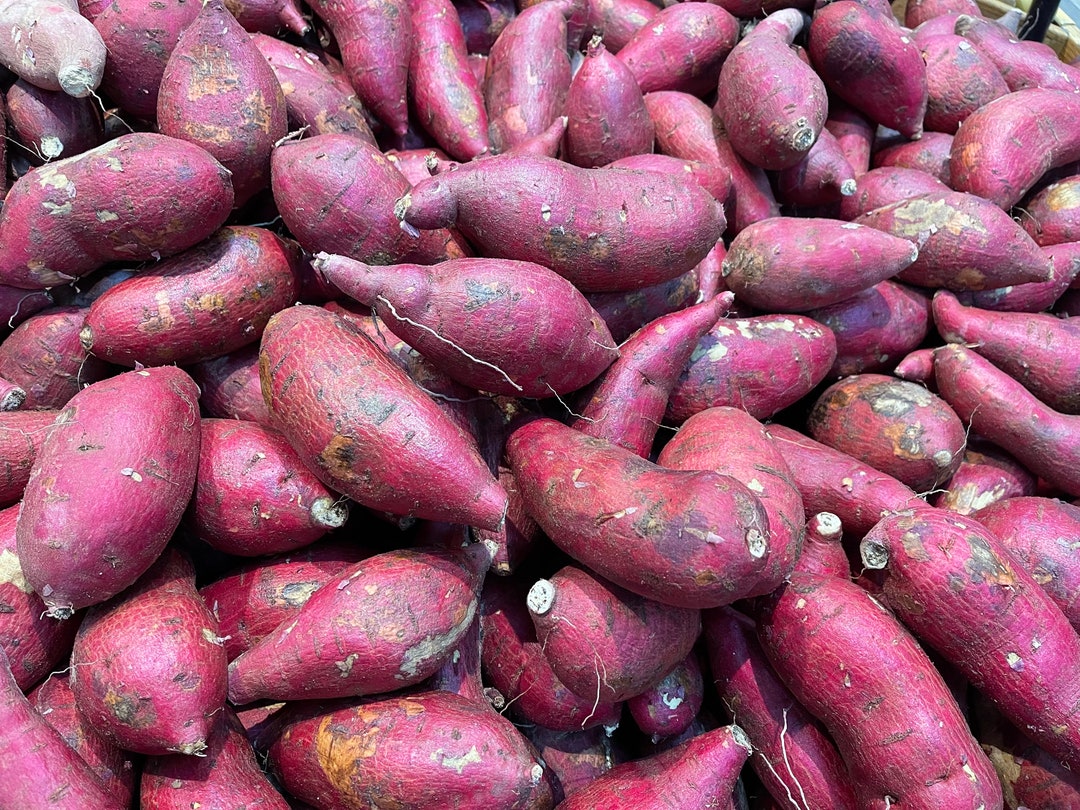 7lbs Japanese Sweet Potatoes, Sweet Potatoes. - Etsy