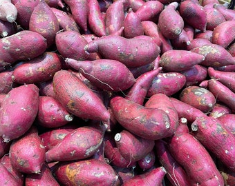 May include: A close-up view of a pile of sweet potatoes. The potatoes are a deep reddish-purple color and have a rough, textured skin.