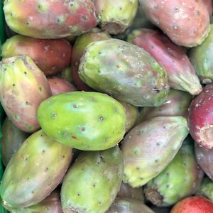 May include: A close-up of a pile of prickly pear cactus fruits. The fruits are green, red, and purple, and have a bumpy texture.