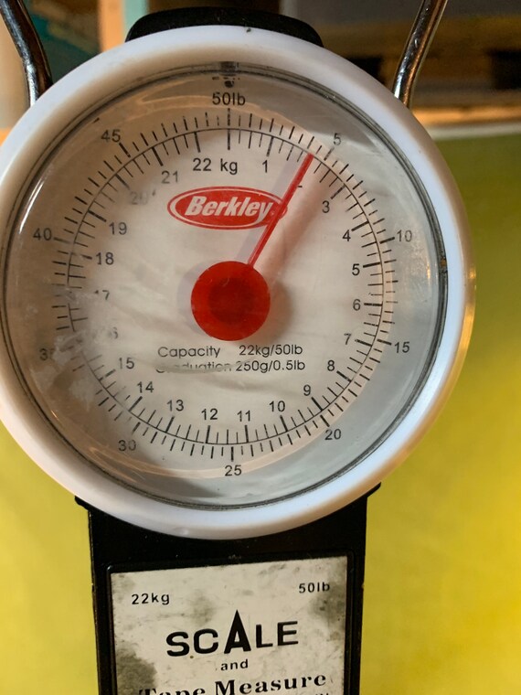 External Frame Backpack with large pockets. - image 10