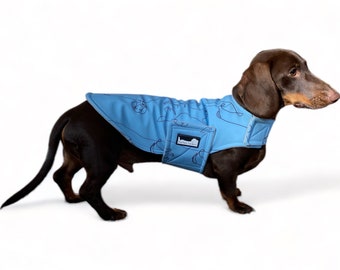 Dachshund water resistant jacket - Dachys Jackies - Happy Dachy Blue