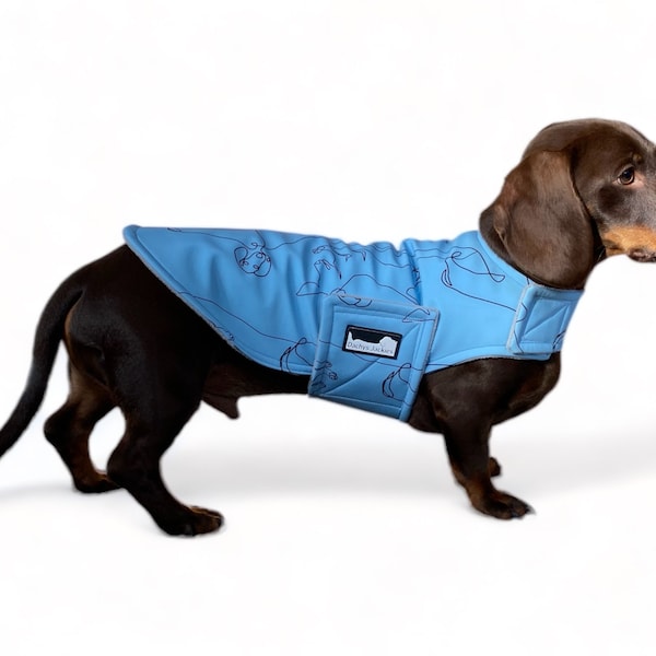 Dachshund water resistant jacket - Dachys Jackies - Happy Dachy Blue