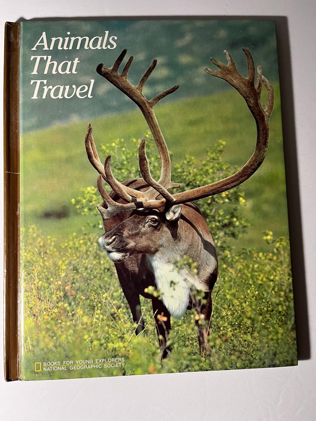 Childrens Book Animals That Travel National Geographic Etsy