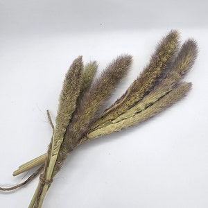 Small Mohair Millet spray for hamsters/rodents/small animals