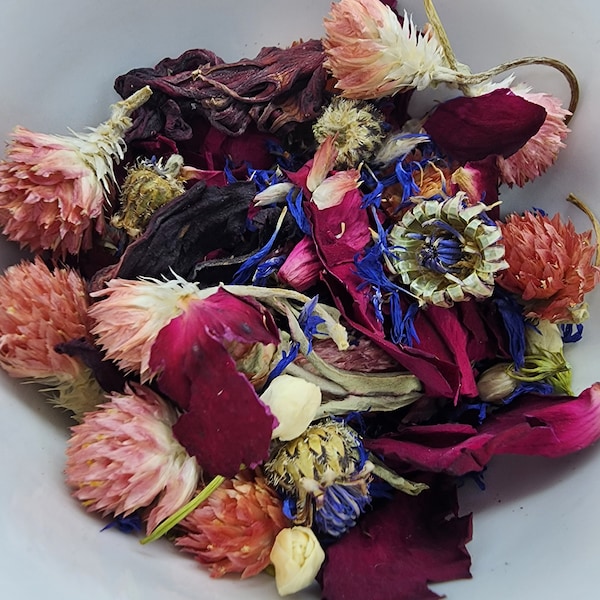 Organic Autumn hamster/rodent flower foraging mix