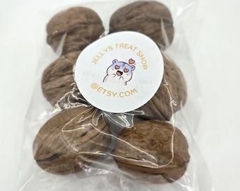 Six Small Whole Walnuts hamster/small rodent treats  Never treated with pesticides or chemicals!