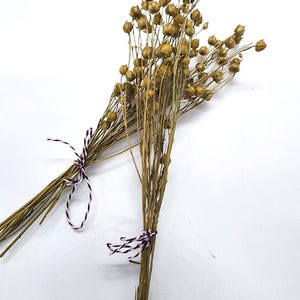 Small flax spray for hamsters | Rodents | Small Animals