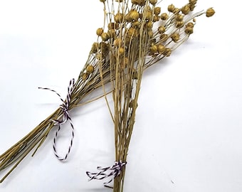 Small flax spray for hamsters | Rodents | Small Animals