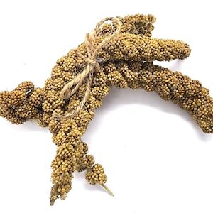 Small Millet Spray for hamsters/rodents/small animals