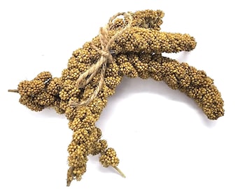 Small Millet Spray for hamsters/rodents/small animals