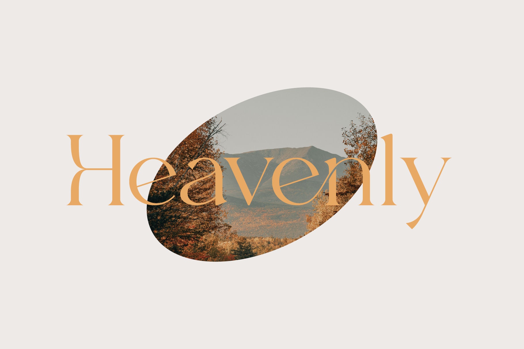 Beverly Font - Modern Serif Font, Branding Font, Logo Font, Ligature ...