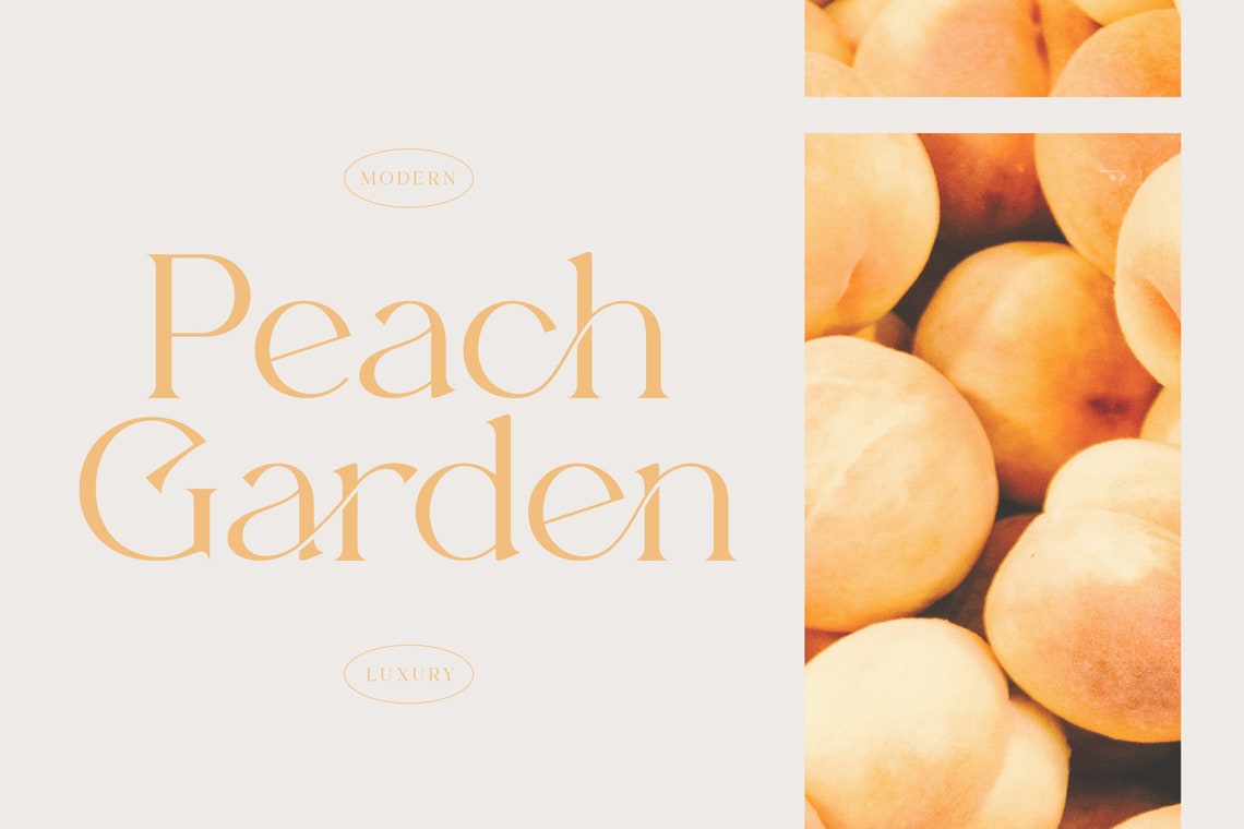 Beverly Font - Modern Serif Font, Branding Font, Logo Font, Ligature ...