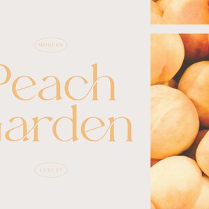 Beverly Font - Modern Serif Font, Branding Font, Logo Font, Ligature ...