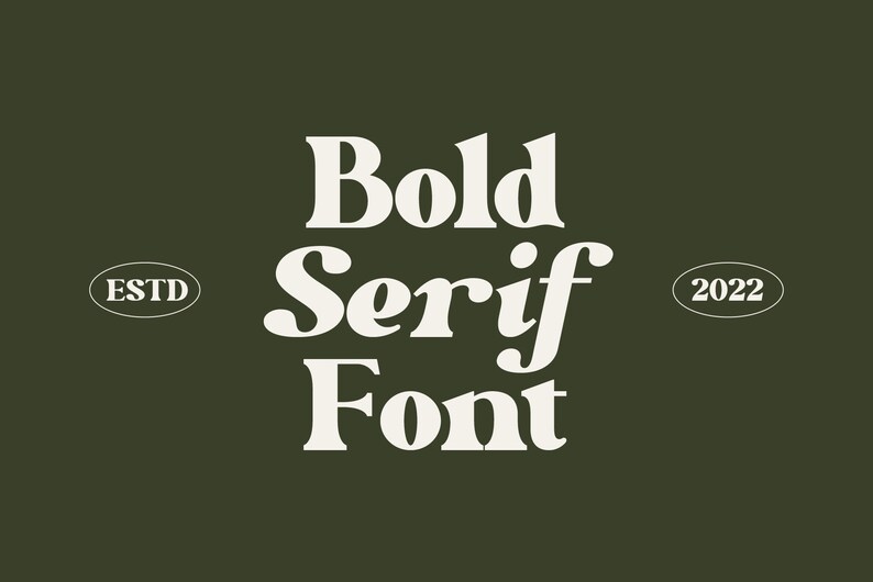 Perfect Colony - Modern Serif Font, Digital Font, Embroidery Font ...