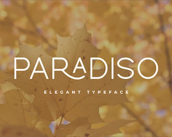 Paradiso - Modern Sans Serif Font, Branding Font, Logo Font, Boho Font, Canva Font, Cricut Font, Procreate Font
