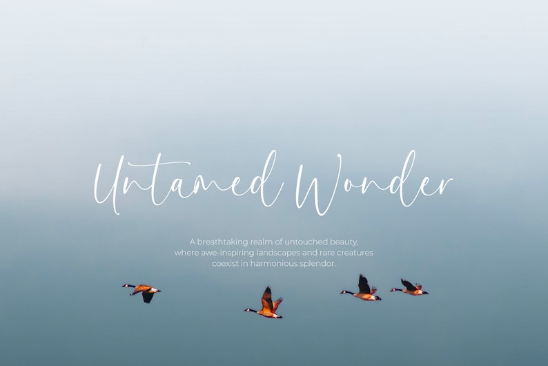May include: A white text graphic on a blue gradient background reads "Untamed Wonder" with a tagline below: "A breathtaking realm of untouched beauty, where awe-inspiring landscapes and rare creatures coexist in harmonious splendor."