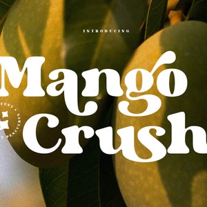 Mango Crush - Retro Serif Fonts, Cricut Fonts, Cursive Fonts, Boho Fonts, Fonts for Cricut, Procreate Fonts, Canva Fonts