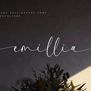 Fuente de caligrafía moderna, fuente de script, fuente de boda, fuente manuscrita, fuente Cricut, fuente cursiva, fuente para Cricut, fuente Procreate