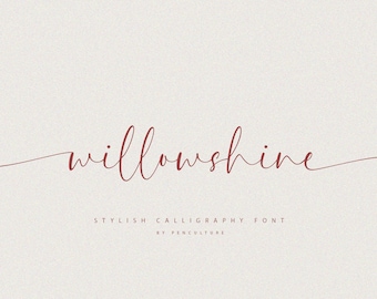Kalligrafie lettertype, script lettertype, bruiloft lettertype, modern lettertype, handgeschreven lettertype, Cricut lettertype, cursief lettertype, lettertype voor Cricut, Canva lettertype