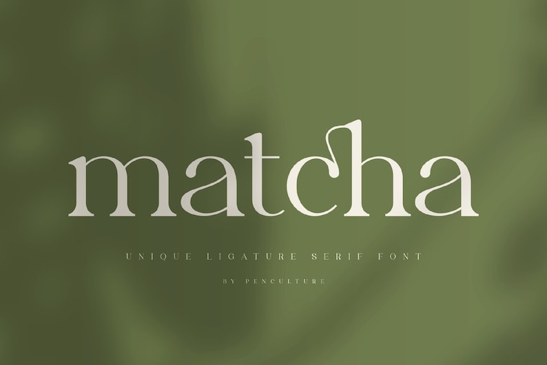 Modern Font Bundle - Logo Fonts, Wedding Fonts, Handwritten Fonts ...