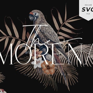 Morena Font - Fuente de caligrafía, Fuente Serif, Fuente moderna, Fuente manuscrita, Fuente de marca, Fuente de logotipo, Fuentes para Cricut, Fuente digital, Font Duo