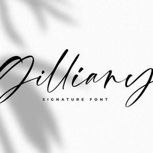 Fonts, Handwritten Font, Script Font, Modern Font, Wedding Font, Cricut Font, Cursive Font, Font Download, Procreate Font, Font For Cricut