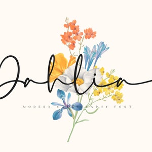 Kalligraphie Schrift, handgeschriebene Schrift, moderne Schrift, digitale Schrift, Schrift-Download, Cricut, Script-Schrift, Hochzeit-Schrift, Schrift für Cricut