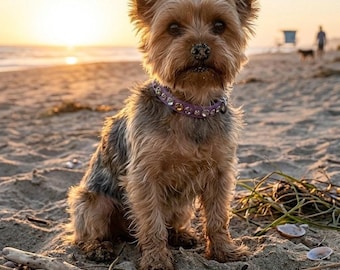 READY TO SHIP!!! 7.5" - 9.5" & .5" Wide Luxury Dog Cat Vegan Leather Biothane Amethyst Purple Crystal Collar