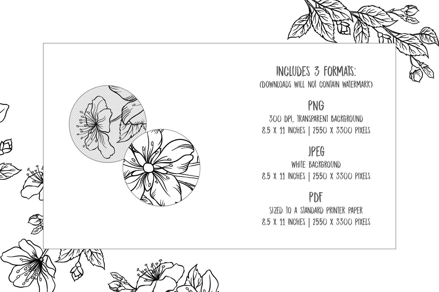 Flower Printable Coloring Pages for Kids, Instant Download PNG, JPEG ...