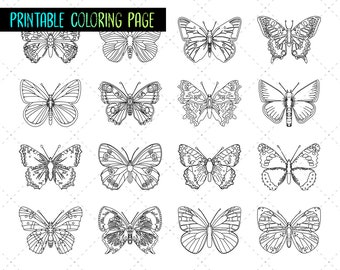Butterfly Printable coloring pages for kids, Instant download PNG, JPEG, PDF