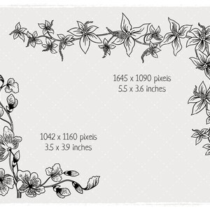 Border With Flowers, Printable Border A4, Instant Download PNG, JPEG ...