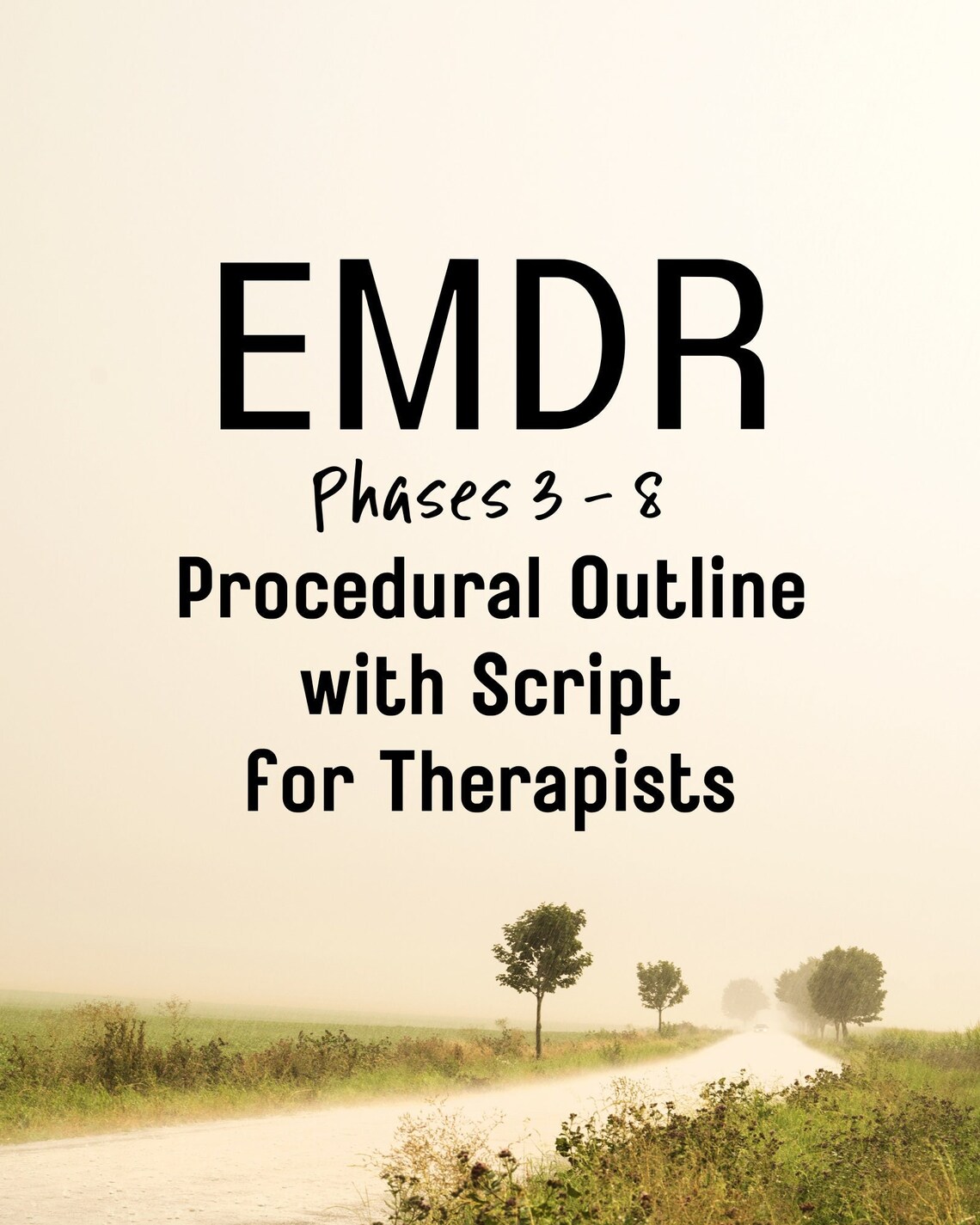 EMDR Procedural Outline and Script for Therapists Phases 3 - 8 - Etsy