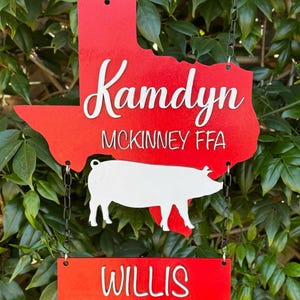 May include: Red wooden Texas-shaped sign with the name "Kamdyn McKinney FFA" and a white pig silhouette. A smaller red sign below reads "Willis".