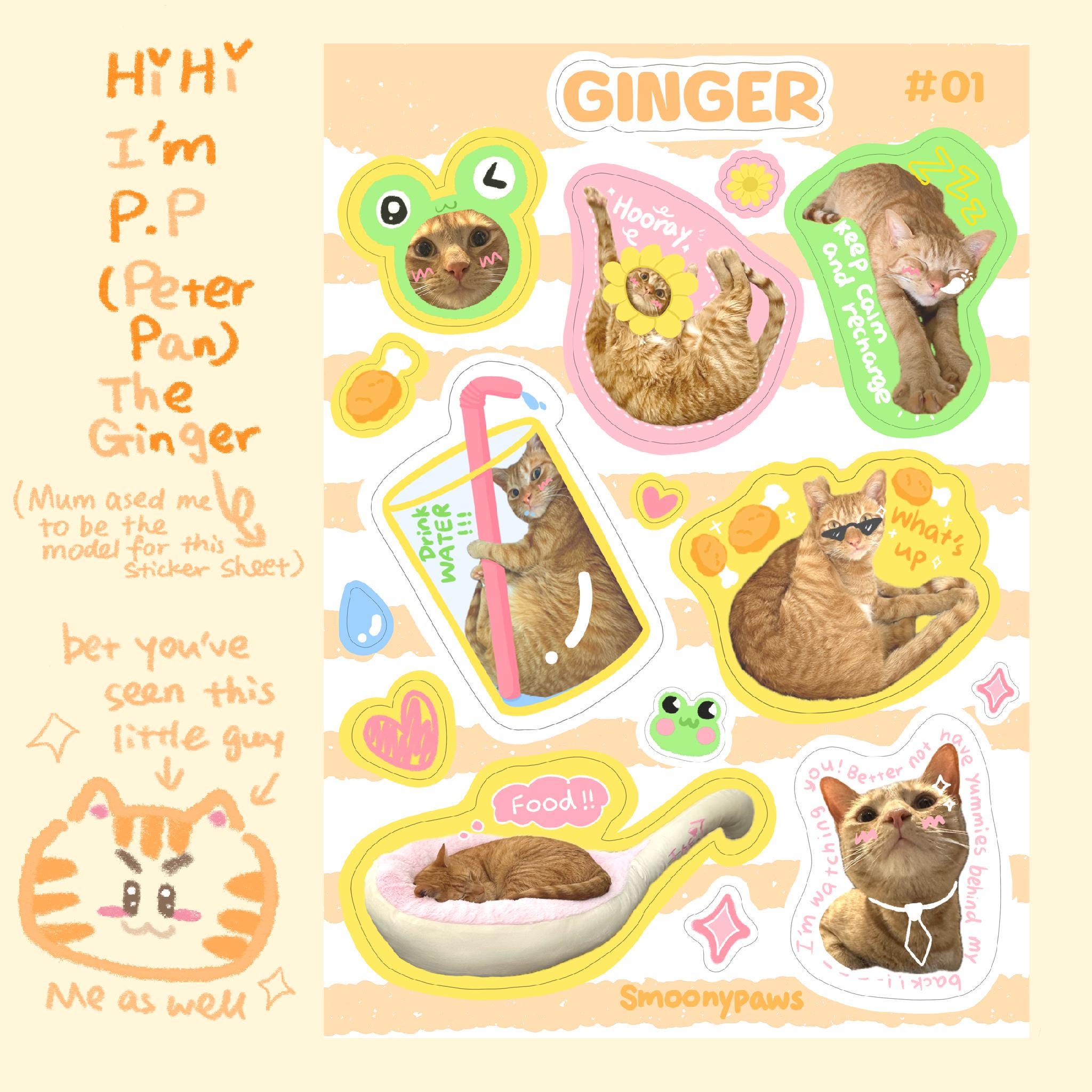 Ginger | Cute Cat Sticker Sheet | Bullet Journal, Planner, Scrapbook ...