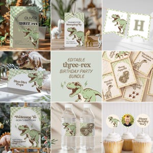 May include: A collection of dinosaur-themed party supplies, including invitations, banners, cupcake toppers, and water bottle labels. The designs feature a green T-Rex with sunglasses and the text "THREE-REX" and "RORY'S BIRTHDAY".