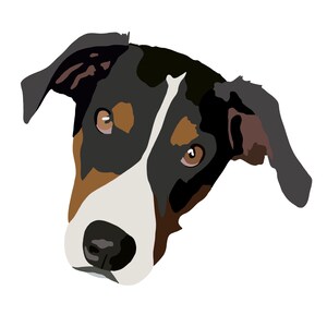 Custom Digital Pet