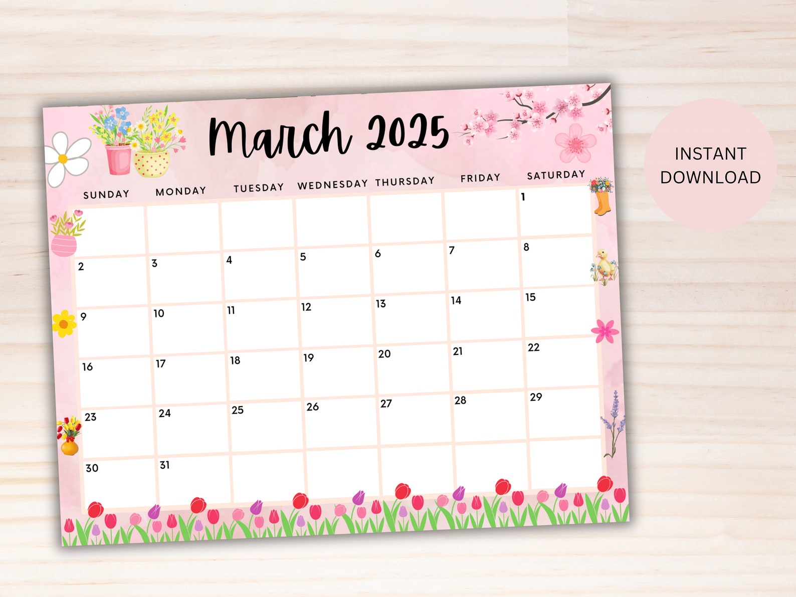 EDITABLE March 2025 Calendar, Printable Wall Calendar 2025, Cute Spring