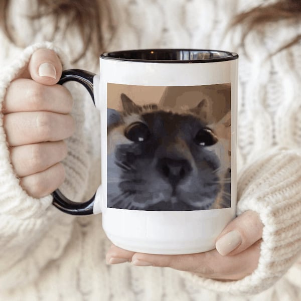 Weird Mug, Funny Cat, Meme, Staring Cat, Funny Gift for Him, Her, Cat, Meme, Cat lovers, incredibly unique gift, strange gift