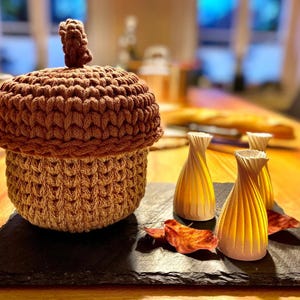 May include: A crochet acorn-shaped container with a dark brown cap and a light tan base. Beside it are three white, spiraled, cone-shaped objects and a single dried reddish-brown leaf, all arranged on a rectangular black slate board.