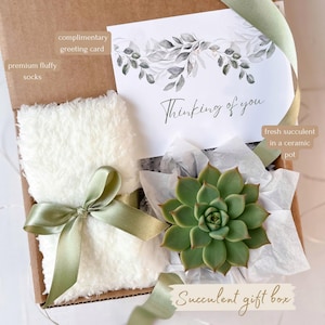 May include: A succulent gift box with a fresh green succulent in a ceramic pot, fluffy socks, and a greeting card that says "Thinking of you." The box is tied with a green ribbon.