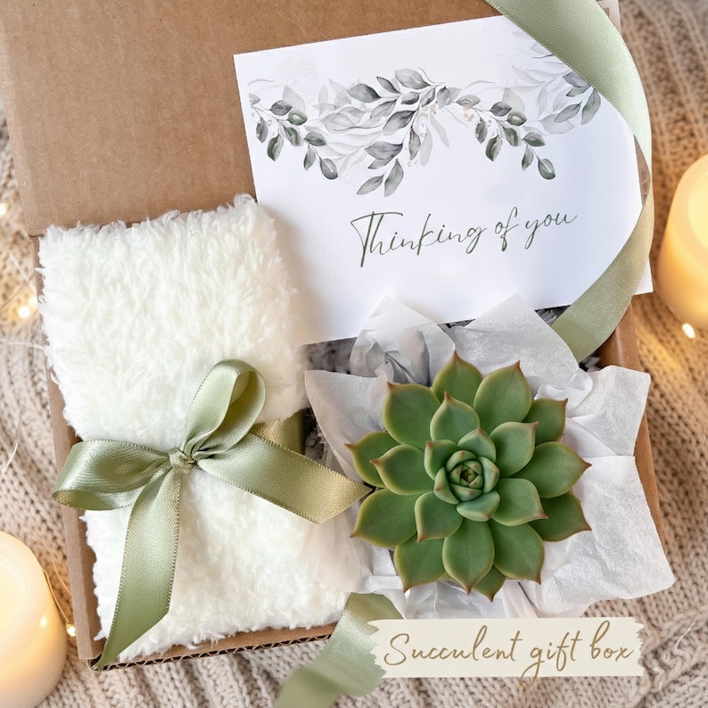 May include: A succulent gift box with a white fluffy item tied with a green ribbon, a card that says "Thinking of you", and a green succulent plant. The box is brown and the background is a neutral color.