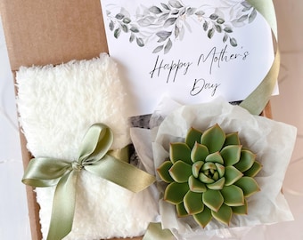 Succulent Gift Box: Mother's Day Self Care Package