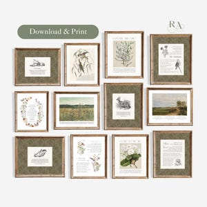 May include: A collection of thirteen framed wall art prints featuring botanical illustrations, landscapes, and wildlife sketches. Each print is set within a dark olive green mount with a subtle damask pattern and a simple wooden frame.