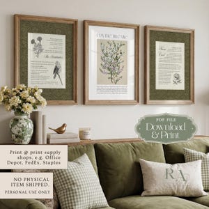 May include: Three framed wall art prints featuring botanical illustrations and religious text, including The Beatitudes, I Am The True Vine, and Nicene Creed, displayed above a green sofa with decorative pillows and a floral vase.