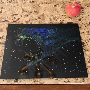UFO aliens on the run from an intergalactic worm from outer space - Custom made metal print 11x14 inches