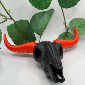 Bull Skull Decoration/Pick Your Colors/Horns/Bull/Skull /Decoration/Home Decor/Man Cave/Desk Decoration!