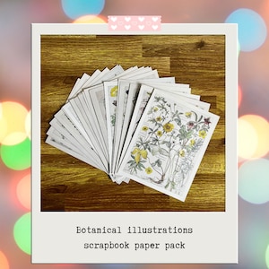 Junk journal vintage inspired botanical floral scrapbooking paper,vintage ephemera,cottagecore,floral botanical print