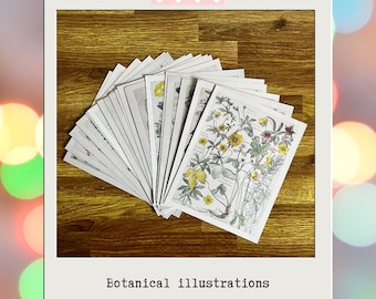 Vintage Botanical Scrapbook Paper: Floral Junk Journal Ephemera